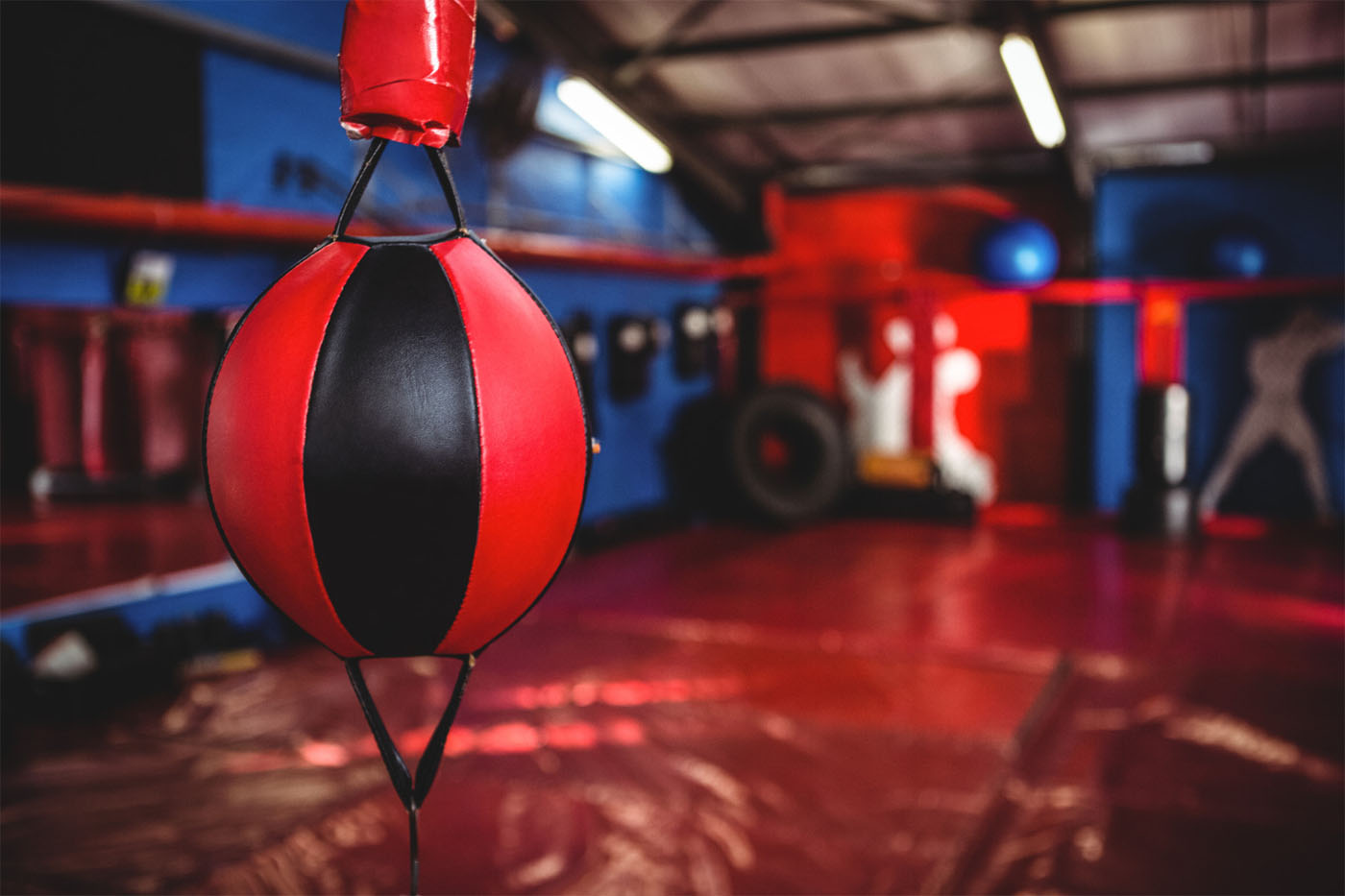 A speedball and boxing ring inside a training gym